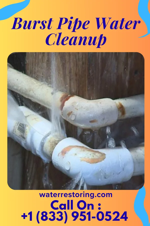 Burst Pipe Water Cleanup in Bruno, MN