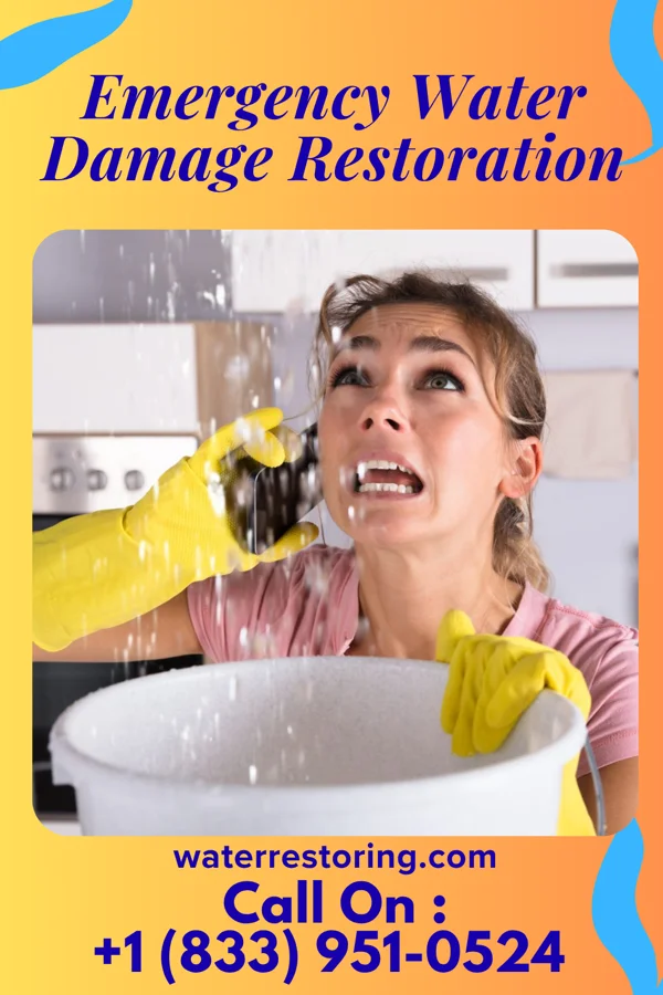 Emergency Water Damage Restoration in Bruno, MN