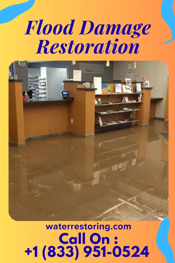 Flood Damage Restoration in Bruno, MN