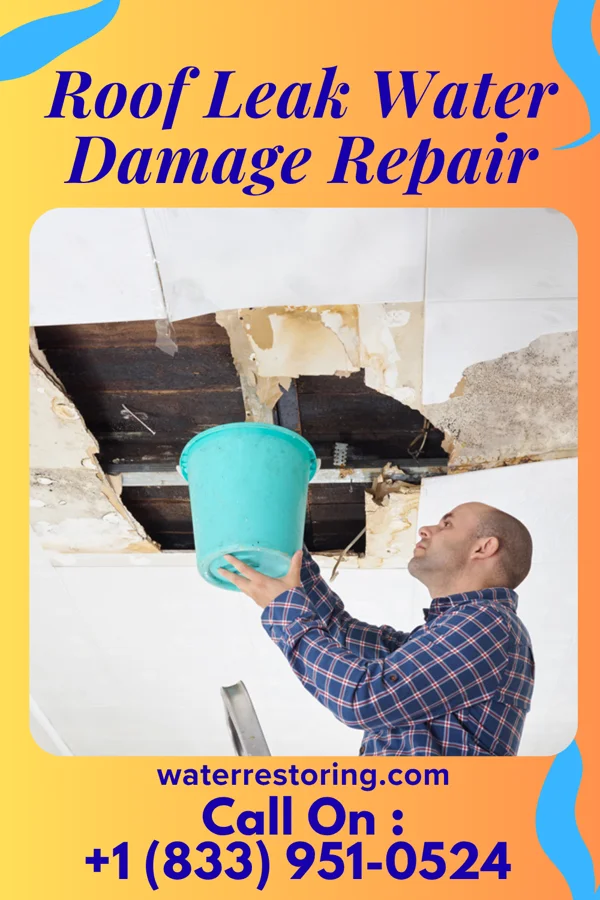 Roof Leak Water Damage Repair in Bruno, MN