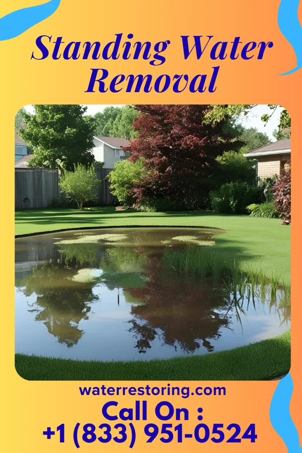 Standing Water Removal in Bruno, MN